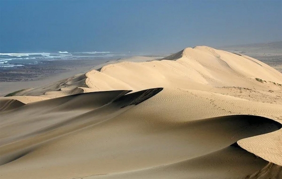 Дюны пустыни Сечура