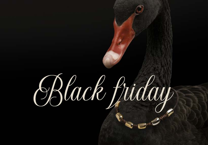 Чёрная пятница